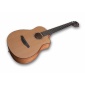 FURCH PIONEER CM a